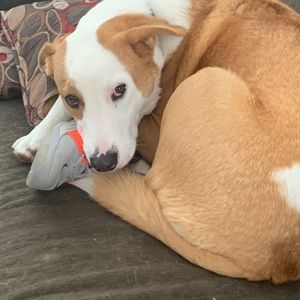 Meet your Posher, Christi